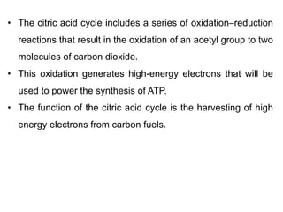 • The citric acid cycle includes a series of oxidation–reduction
reactions that result in the oxidation of an acetyl group to two
molecules of carbon dioxide.
• This oxidation generates high-energy electrons that will be
used to power the synthesis of ATP.
• The function of the citric acid cycle is the harvesting of high
energy electrons from carbon fuels.
 