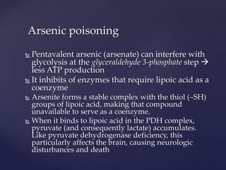  Pentavalent arsenic (arsenate) can interfere with
glycolysis at the glyceraldehyde 3-phosphate step 
less ATP production
 It inhibits of enzymes that require lipoic acid as a
coenzyme
 Arsenite forms a stable complex with the thiol (–SH)
groups of lipoic acid, making that compound
unavailable to serve as a coenzyme.
 When it binds to lipoic acid in the PDH complex,
pyruvate (and consequently lactate) accumulates.
Like pyruvate dehydrogenase deficiency, this
particularly affects the brain, causing neurologic
disturbances and death
Arsenic poisoning
 
