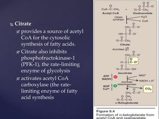  Citrate
 provides a source of acetyl
CoA for the cytosolic
synthesis of fatty acids.
 Citrate also inhibits
phosphofructokinase-1
(PFK-1), the rate-limiting
enzyme of glycolysis
 activates acetyl CoA
carboxylase (the rate-
limiting enzyme of fatty
acid synthesis
 