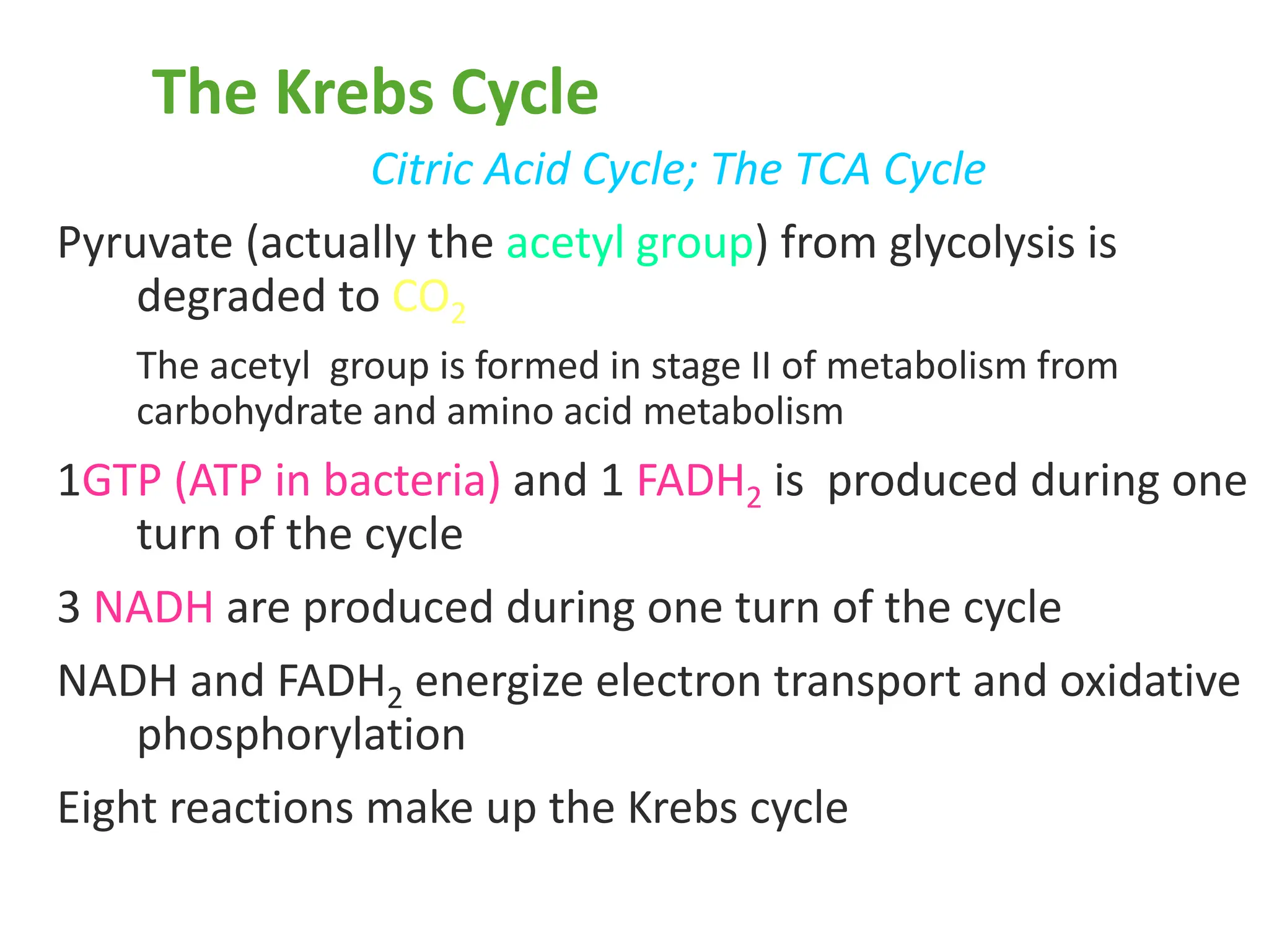 The Krebs Cycle
Citric Acid Cycle; The TCA Cycle
Pyruvate (actually the acetyl group) from glycolysis is
degraded to CO2
The acetyl group is formed in stage II of metabolism from
carbohydrate and amino acid metabolism
1GTP (ATP in bacteria) and 1 FADH2 is produced during one
turn of the cycle
3 NADH are produced during one turn of the cycle
NADH and FADH2 energize electron transport and oxidative
phosphorylation
Eight reactions make up the Krebs cycle
 