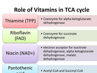 TCA Cycle or Krebs cycle - Energtics ,Regulation | PPTX