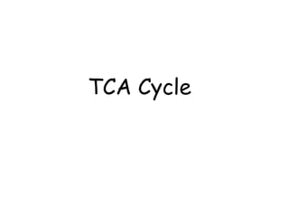 TCA Cycle
 