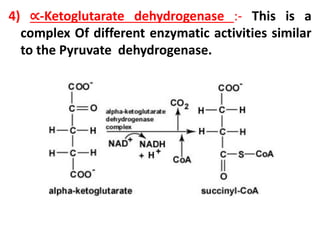 4) ∝-Ketoglutarate dehydrogenase :- This is a
complex Of different enzymatic activities similar
to the Pyruvate dehydrogenase.
 