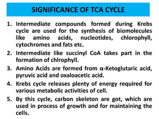 SIGNIFICANCE OF TCA CYCLE
1. Intermediate compounds formed during Krebs
cycle are used for the synthesis of biomolecules
like amino acids, nucleotides, chlorophyll,
cytochromes and fats etc.
2. Intermediate like succinyl CoA takes part in the
formation of chlrophyll.
3. Amino Acids are formed from α-Ketoglutaric acid,
pyruvic acid and oxaloacetic acid.
4. Krebs cycle releases plenty of energy required for
various metabolic activities of cell.
5. By this cycle, carbon skeleton are got, which are
used in process of growth and for maintaining the
cells.
 