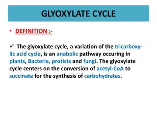 GLYOXYLATE CYCLE
• DEFINITION :-
 The glyoxylate cycle, a variation of the tricarboxy-
lic acid cycle, is an anabolic pathway occuring in
plants, Bacteria, protists and fungi. The glyoxylate
cycle centers on the conversion of acetyl-CoA to
succinate for the synthesis of carbohydrates.
 