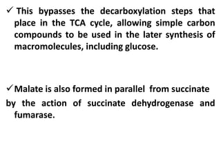  This bypasses the decarboxylation steps that
place in the TCA cycle, allowing simple carbon
compounds to be used in the later synthesis of
macromolecules, including glucose.
Malate is also formed in parallel from succinate
by the action of succinate dehydrogenase and
fumarase.
 