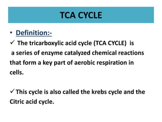 TCA CYCLE
• Definition:-
 The tricarboxylic acid cycle (TCA CYCLE) is
a series of enzyme catalyzed chemical reactions
that form a key part of aerobic respiration in
cells.
This cycle is also called the krebs cycle and the
Citric acid cycle.
 