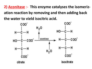 2) Aconitase :- This enzyme catalyses the isomeriz-
ation reaction by removing and then adding back
the water to yield isocitric acid.
 