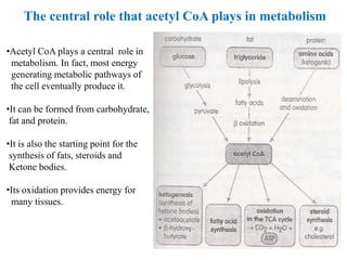 The central role that acetyl CoA plays in metabolism
•Acetyl CoA plays a central role in
metabolism. In fact, most energy
generating metabolic pathways of
the cell eventually produce it.
•It can be formed from carbohydrate,
fat and protein.
•It is also the starting point for the
synthesis of fats, steroids and
Ketone bodies.
•Its oxidation provides energy for
many tissues.
 