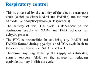 Respiratory control
• This is governed by the activity of the electron transport
chain (which oxidizes NADH and FADH2) and the rate
of oxidative phosphorylation (ATP synthesis)
• The activity of the TCA cycle is dependent on the
continuous supply of NAD+ and FAD, cofactor for
dehydrogenases.
• The ETC is responsible for oxidizing any NADH and
FADH2 formed during glycolysis and TCA cycle back to
their oxidized forms, i.e. NAD+ and FAD.
• Therefore, anything affecting the supply of substrates,
namely oxygen, ADP, or the source of reducing
equivalents, may inhibit the cycle.
 