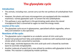 The glyoxylate cycle
Introduction
• The animals, including man, cannot carry out the net synthesis of carbohydrate from
fat.
• However, the plants and many microorganisms are equipped with the metabolic
machinery- namely glyoxylate cycle- to convert fat into carbohydrate.
• This pathway is very significant in the germinating seeds where the stored
triacylglycerol (fat) is converted to sugars to meet the energy needs.
Location of the cycle:
• The glyoxylate cycle occurs in glyoxysomes, specialized cellular organelles, where
fatty acid oxidation is also operative.
Reactions of the cycle:
• The glyoxylate cycle is regarded as an anabolic variant of citric acid cycle.
• Acetyl CoA produced from fatty acid oxidation condenses with oxaloacetate to give
citrate which is then converted to isocitrate.
• At this stage, isocitrate bypasses the citric acid cycle and is cleaved by isocitrate
lyase to succinate and glyoxylate.
• Another molecule of acetyl CoA is now utilized to combine with glyoxylate to form
malate. This reaction is catalyzed by malate synthase.
 