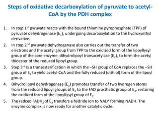 Steps of oxidative decarboxylation of pyruvate to acetyl-
CoA by the PDH complex
1. In step 1st pyruvate reacts with the bound thiamine pyrophosphate (TPP) of
pyruvate dehydrogenase (E1), undergoing decarboxylation to the hydroxyethyl
derivative.
2. In step 2nd pyruvate dehydrogenase also carries out the transfer of two
electrons and the acetyl group from TPP to the oxidized form of the lipoyllysyl
group of the core enzyme, dihydrolipoyl transacetylase (E2), to form the acetyl
thioester of the reduced lipoyl group.
3. Step 3rd is a transesterification in which the –SH group of CoA replaces the –SH
group of E2 to yield acetyl-CoA and the fully reduced (dithiol) form of the lipoyl
group.
4. Dihydrolipoyl dehydrogenase (E3) promotes transfer of two hydrogen atoms
from the reduced lipoyl groups of E2 to the FAD prosthetic group of E3, restoring
the oxidized form of the lipoyllysyl group of E2.
5. The redced FADH2 of E3 transfers a hydride ion to NAD+ forming NADH. The
enzyme complex is now ready for another catalytic cycle.
 