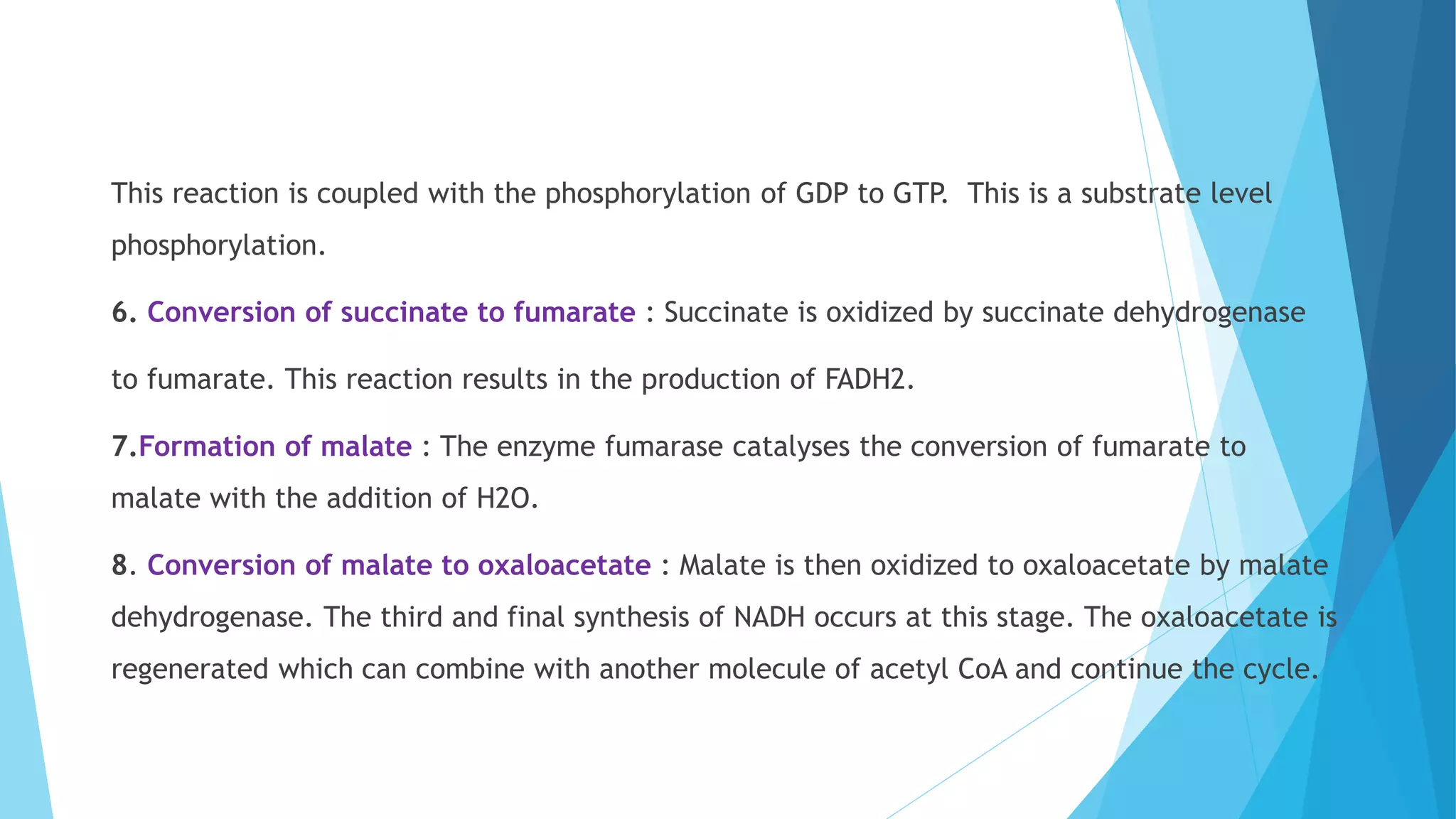 This reaction is coupled with the phosphorylation of GDP to GTP. This is a substrate level
phosphorylation.
6. Conversion of succinate to fumarate : Succinate is oxidized by succinate dehydrogenase
to fumarate. This reaction results in the production of FADH2.
7.Formation of malate : The enzyme fumarase catalyses the conversion of fumarate to
malate with the addition of H2O.
8. Conversion of malate to oxaloacetate : Malate is then oxidized to oxaloacetate by malate
dehydrogenase. The third and final synthesis of NADH occurs at this stage. The oxaloacetate is
regenerated which can combine with another molecule of acetyl CoA and continue the cycle.
 