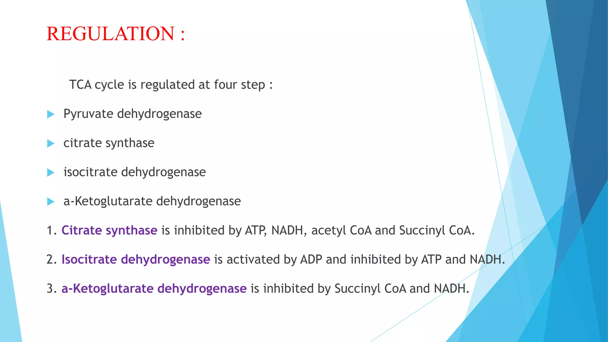 REGULATION :
TCA cycle is regulated at four step :
 Pyruvate dehydrogenase
 citrate synthase
 isocitrate dehydrogenase
 a-Ketoglutarate dehydrogenase
1. Citrate synthase is inhibited by ATP, NADH, acetyl CoA and Succinyl CoA.
2. Isocitrate dehydrogenase is activated by ADP and inhibited by ATP and NADH.
3. a-Ketoglutarate dehydrogenase is inhibited by Succinyl CoA and NADH.
 
