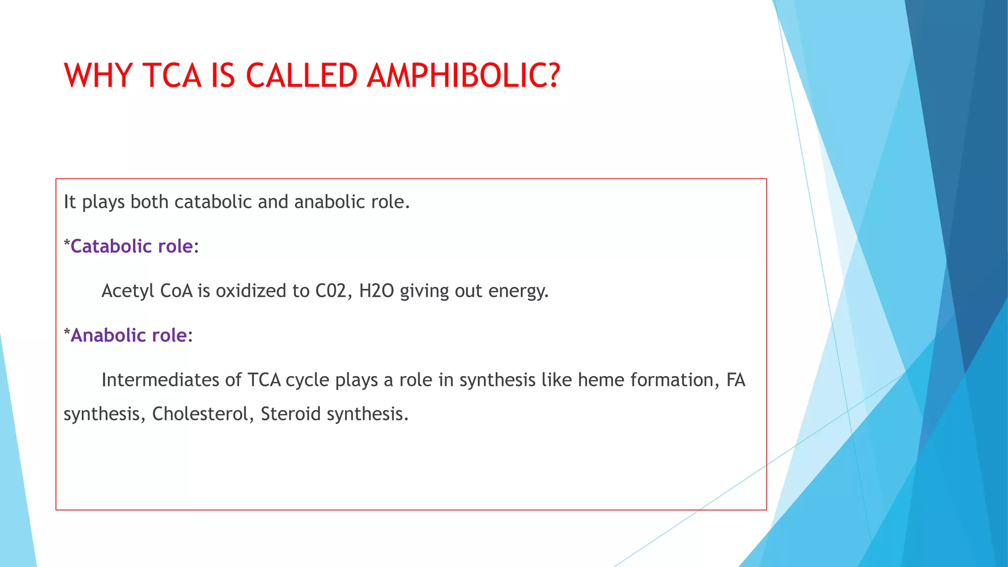 WHY TCA IS CALLED AMPHIBOLIC?
It plays both catabolic and anabolic role.
*Catabolic role:
Acetyl CoA is oxidized to C02, H2O giving out energy.
*Anabolic role:
Intermediates of TCA cycle plays a role in synthesis like heme formation, FA
synthesis, Cholesterol, Steroid synthesis.
 