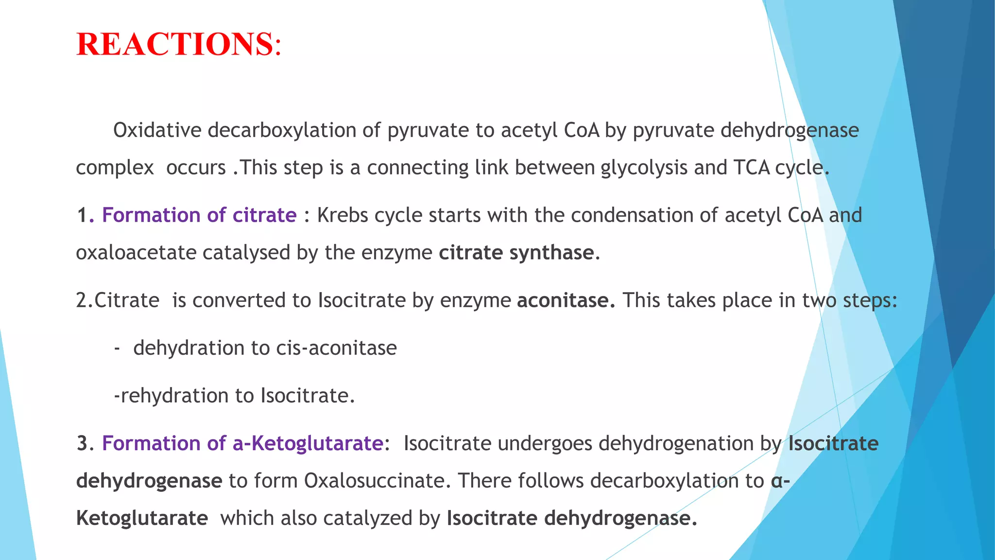 REACTIONS:
Oxidative decarboxylation of pyruvate to acetyl CoA by pyruvate dehydrogenase
complex occurs .This step is a connecting link between glycolysis and TCA cycle.
1. Formation of citrate : Krebs cycle starts with the condensation of acetyl CoA and
oxaloacetate catalysed by the enzyme citrate synthase.
2.Citrate is converted to Isocitrate by enzyme aconitase. This takes place in two steps:
- dehydration to cis-aconitase
-rehydration to Isocitrate.
3. Formation of a-Ketoglutarate: Isocitrate undergoes dehydrogenation by Isocitrate
dehydrogenase to form Oxalosuccinate. There follows decarboxylation to α-
Ketoglutarate which also catalyzed by Isocitrate dehydrogenase.
 