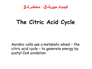 ‫حيوية‬ ‫كيمياء‬
-
2
‫محاضرة‬ ،
-
2
Aerobic cells
use a
metabolic
wheel – the
citric acid
cycle – to
generate
energy by
acetyl CoA
oxidation
The Citric Acid Cycle
Aerobic cells use a metabolic wheel – the
citric acid cycle – to generate energy by
acetyl CoA oxidation
 
