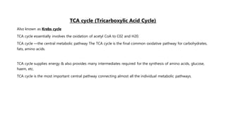 TCA cycle (Tricarboxylic Acid Cycle)
Also known as Krebs cycle
TCA cycle essentially involves the oxidation of acetyl CoA to C02 and H20.
TCA cycle —the central metabolic pathway The TCA cycle is the final common oxidative pathway for carbohydrates,
fats, amino acids.
TCA cycle supplies energy & also provides many intermediates required for the synthesis of amino acids, glucose,
haem, etc.
TCA cycle is the most important central pathway connecting almost all the individual metabolic pathways.
 