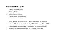 Regulationof TCA cycle
• Three regulatory enzymes
1. Citrate synthase
2. Isocitrate dehydrogenase
3. a-ketoglutarate dehydrogenase
• Citrate synthase is inhibited by ATP, NADH, acyl COA & succinyl CoA.
• Isocitrate dehydrogenase is activated by ADP inhibited by ATP and NADH
• a-ketoglutarate dehydrogenase is inhibited by succinyl CoA & NADH.
• Availability of ADP is very important for TCA cycle to proceed.
 