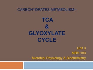 CARBOHYDRATES METABOLISM–
TCA
&
GLYOXYLATE
CYCLE
Unit 3
MBH 103
Microbial Physiology & Biochemistry
 