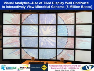Visual Analytics--Use of Tiled Display Wall OptIPortal  to Interactively View Microbial Genome (5 Million Bases) Acidobacteria bacterium Ellin345 Soil Bacterium 5.6 Mb; ~5000 Genes Source:  Raj Singh, UCSD 