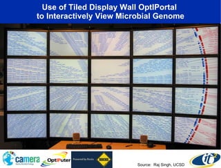 Use of Tiled Display Wall OptIPortal  to Interactively View Microbial Genome Source:  Raj Singh, UCSD 