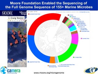 Moore Foundation Enabled the Sequencing of  the Full Genome Sequence of 155+ Marine Microbes www.moore.org/microgenome 