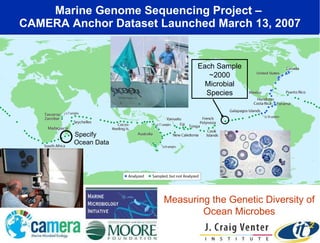 Marine Genome Sequencing Project –  CAMERA Anchor Dataset Launched March 13, 2007 Measuring the Genetic Diversity of Ocean...