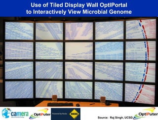 Use of Tiled Display Wall OptIPortal
to Interactively View Microbial Genome




                         Source: Raj Singh, UCSD
 