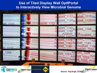 Use of Tiled Display Wall OptIPortal
to Interactively View Microbial Genome




                          Source: Raj Singh, UCSD
 