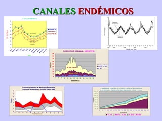 CANALES  ENDÉMICOS 