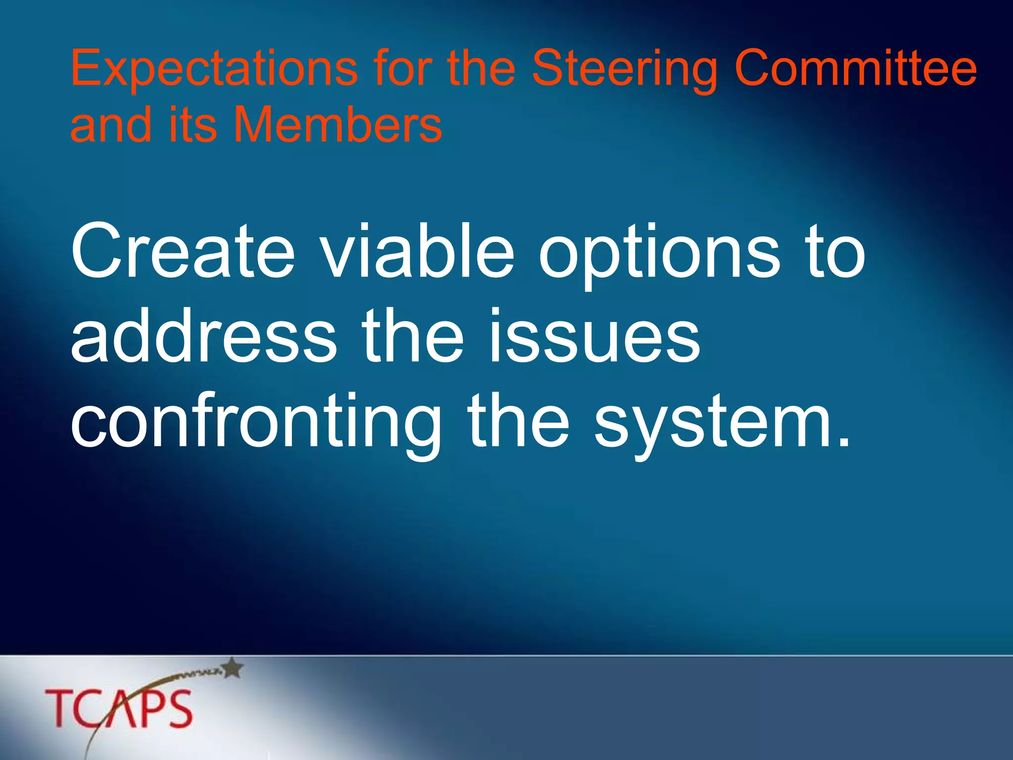 Create viable options to address the issues confronting the system. Expectations for the Steering Committee and its Members 