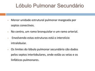 Lóbulo Pulmonar Secundário

•   Menor unidade estrutural pulmonar margeada por
    septos conectivos.
•   No centro, um ramo bronquiolar e um ramo arterial.
•   Envolvendo estas estruturas está o interstício
    intralobular.
•   Os limites do lóbulo pulmonar secundário são dados
    pelos septos interlobulares, onde estão as veias e os
    linfáticos pulmonares.
 