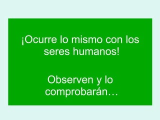 ¡Ocurre lo mismo con los 
seres humanos! 
Observen y lo 
comprobarán… 
 