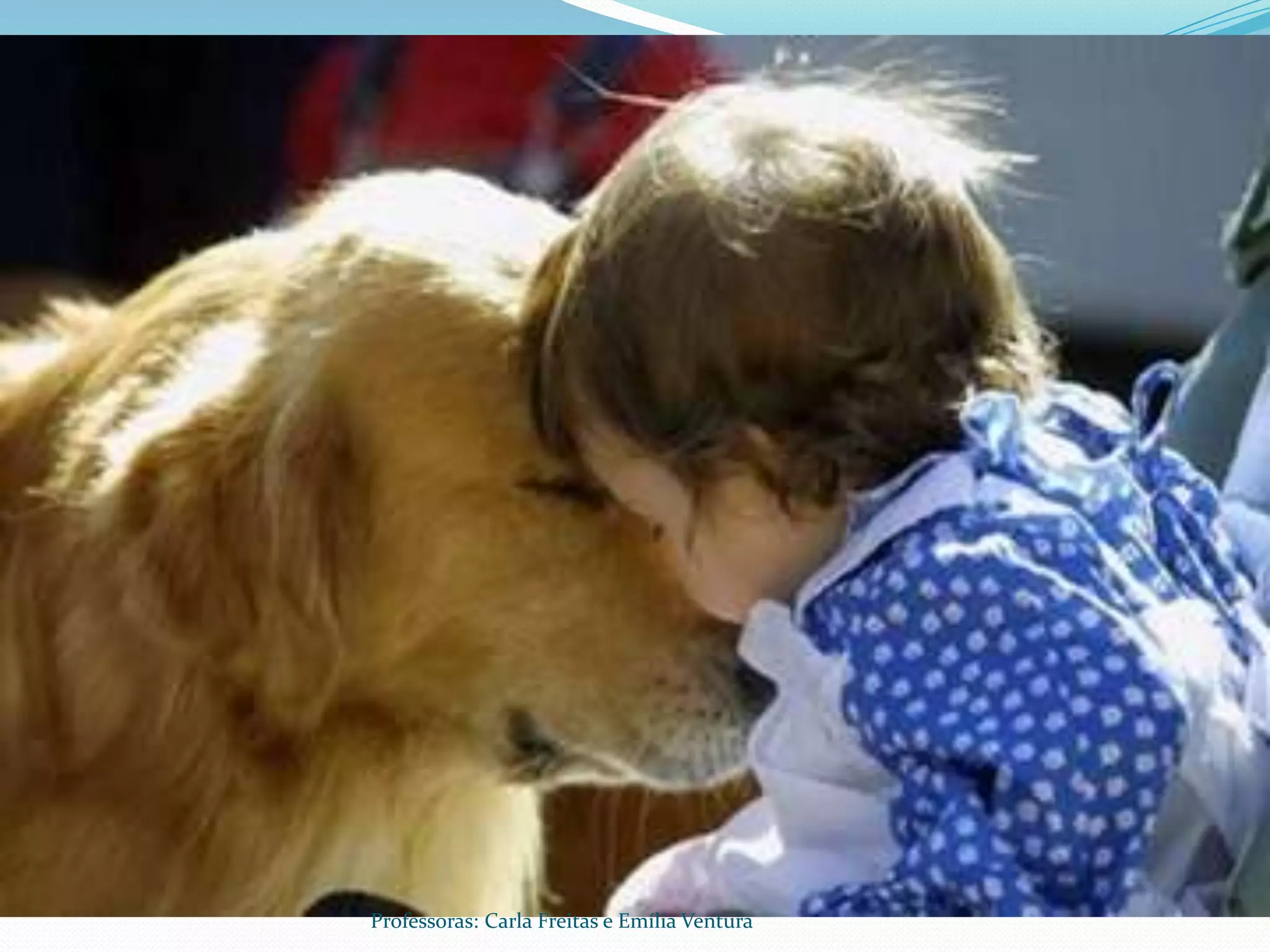Professoras: Carla Freitas e Emília Ventura
 