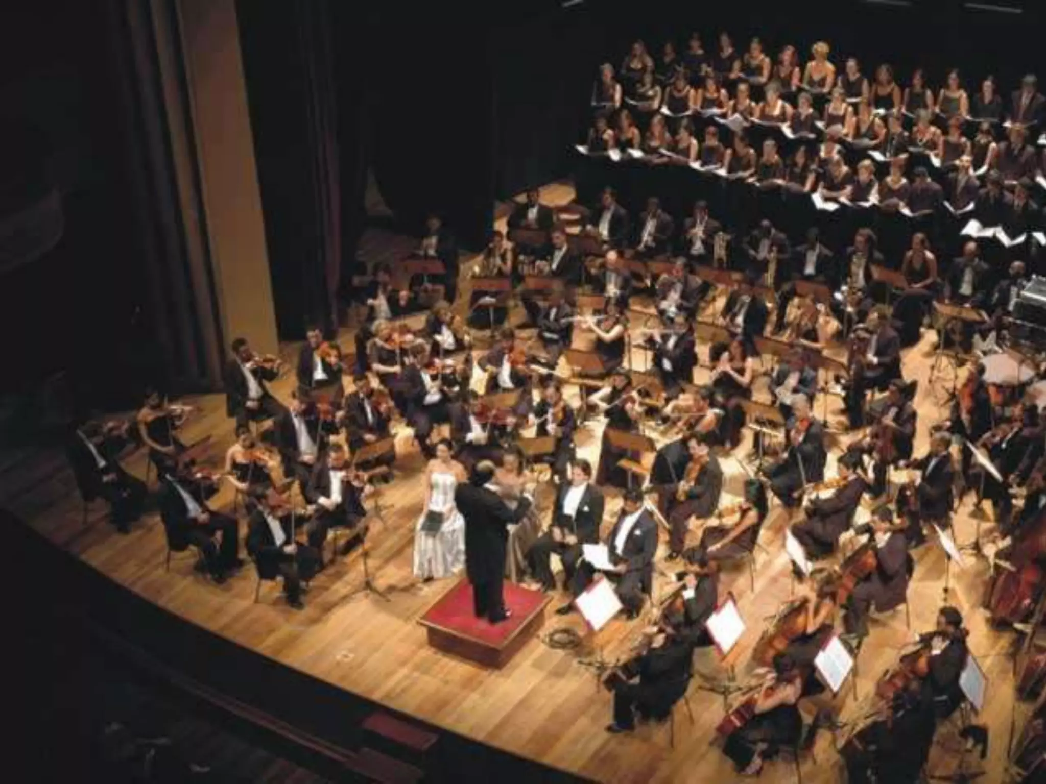 Professoras: Carla Freitas e Emília Ventura
 