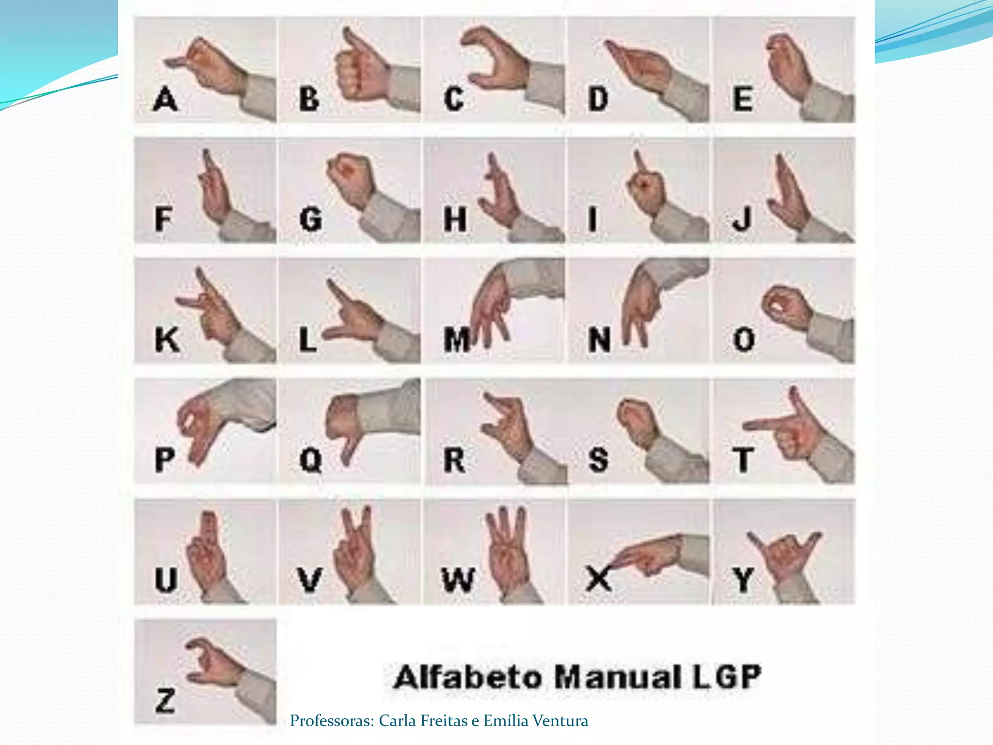 Professoras: Carla Freitas e Emília Ventura
 