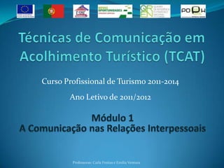 Curso Profissional de Turismo 2011-2014
       Ano Letivo de 2011/2012




        Professoras: Carla Freitas e Emília Ventura
 