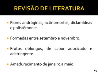    Flores andróginas, actinomorfas, diclamídeas
    e polistêmones.

   Formadas entre setembro e novembro.

   Frutos oblongos, de sabor adocicado e
    adstringente.

   Amadurecimento de janeiro a maio.
                                                   14
 
