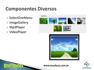 SelectOneMenuImageGalleryMp3PlayerVideoPlayerComponentesDiversos