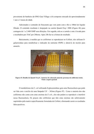 88
proveniente do banheiro da ONG Gaia Village e (6) composto estocado de aproximadamente
1 ano e 2 meses de idade.
Adicionados o conteúdo do frasconete que vem junto com o Kit a 100ml do líquido
filtrado. O conteúdo resultante é despejado na cartela Quanti-Tray/ 2000 (Figura 46) para
contagem de 1 a 2.400 NMP sem diluições. Em seguida, sela-se a cartela e esta é levada para
a incubadora por 35oC por 24horas. Após 24h faz-se a leitura do resultado.
Basicamente, à medida que os coliformes se reproduzem no Colilert, eles utilizam ß-
galactosidase para metabolizar o indicador de nutriente ONPG e alterá-lo de incolor para
amarelo.
Figura 43. Detalhe do Quanti-Tray®. Amostras de coloração amarela: presença de coliformes totais.
Fonte: arquivo pessoal
O metabolismo da E. coli utilizando ß-glucuronidase gera uma fluorescência que pode
ser lida com o auxilio de uma lâmpada UV – 365nm (Figura 47). Como a maioria dos não
coliformes não conta com estas enzimas da E coli., eles não podem se reproduzir e interferir
nessa fluorescência. Os poucos não coliformes que têm estas enzimas são seletivamente
suprimidos pela matriz especificamente formulada do Colilert, eliminando assim os resultados
falso-positivos.
 