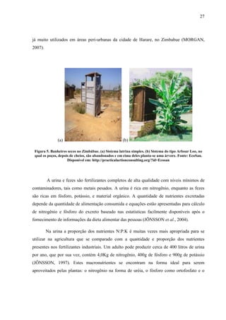 27
já muito utilizados em áreas peri-urbanas da cidade de Harare, no Zimbabue (MORGAN,
2007).
(a) (b)
Figura 5. Banheiros secos no Zimbábue. (a) Sistema latrina simples. (b) Sistema do tipo Arbour Loo, no
qual os poços, depois de cheios, são abandonados e em cima deles planta-se uma árvore. Fonte: EcoSan.
Disponível em: http://practicalactionconsulting.org/?id=Ecosan
A urina e fezes são fertilizantes completos de alta qualidade com níveis mínimos de
contaminadores, tais como metais pesados. A urina é rica em nitrogênio, enquanto as fezes
são ricas em fósforo, potássio, e material orgânico. A quantidade de nutrientes excretadas
depende da quantidade de alimentação consumida e equações estão apresentadas para cálculo
de nitrogênio e fósforo do excreto baseado nas estatísticas facilmente disponíveis após o
fornecimento de informações da dieta alimentar das pessoas (JÖNSSON et al., 2004).
Na urina a proporção dos nutrientes N:P:K é muitas vezes mais apropriada para se
utilizar na agricultura que se comparado com a quantidade e proporção dos nutrientes
presentes nos fertilizantes industriais. Um adulto pode produzir cerca de 400 litros de urina
por ano, que por sua vez, contém 4,0Kg de nitrogênio, 400g de fósforo e 900g de potássio
(JÖNSSON, 1997). Estes macronutrientes se encontram na forma ideal para serem
aproveitados pelas plantas: o nitrogênio na forma de uréia, o fósforo como ortofosfato e o
 