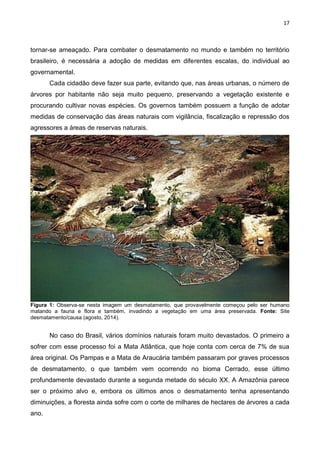 17
tornar-se ameaçado. Para combater o desmatamento no mundo e também no território
brasileiro, é necessária a adoção de medidas em diferentes escalas, do individual ao
governamental.
Cada cidadão deve fazer sua parte, evitando que, nas áreas urbanas, o número de
árvores por habitante não seja muito pequeno, preservando a vegetação existente e
procurando cultivar novas espécies. Os governos também possuem a função de adotar
medidas de conservação das áreas naturais com vigilância, fiscalização e repressão dos
agressores a áreas de reservas naturais.
Figura 1: Observa-se nesta imagem um desmatamento, que provavelmente começou pelo ser humano
matando a fauna e flora e também, invadindo a vegetação em uma área preservada. Fonte: Site
desmatamento/causa (agosto, 2014).
No caso do Brasil, vários domínios naturais foram muito devastados. O primeiro a
sofrer com esse processo foi a Mata Atlântica, que hoje conta com cerca de 7% de sua
área original. Os Pampas e a Mata de Araucária também passaram por graves processos
de desmatamento, o que também vem ocorrendo no bioma Cerrado, esse último
profundamente devastado durante a segunda metade do século XX. A Amazônia parece
ser o próximo alvo e, embora os últimos anos o desmatamento tenha apresentando
diminuições, a floresta ainda sofre com o corte de milhares de hectares de árvores a cada
ano.
 