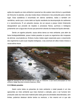 24
ações de respeito ao meio ambiente é possível se não acabar mais diminuir a quantidade
de Chorume no planeta, uma das muitas dicas é direcionar o lixo produzido para o devido
lugar. Essa substância é encontrada em aterros sanitários, lixões e também em
cemitérios, sendo que o nome dado ao líquido resultante da decomposição de cadáveres
é o necrochorume. É um poluente viscoso, de cor escura e possui cheiro fortemente
desagradável que procede de reações e processos físicos, químicos e biológicos
juntamente com a água das chuvas que percorrem através da massa de líquido aterrada.
Sendo um agente poluente, causa sérios danos ao meio ambiente, pois além da
baixa biodegradabilidade, possui metais pesados os quais os organismos são incapazes
de eliminar, acumulando-os. Embora muitos metais sejam essenciais para o crescimento
dos organismos e para suas reações biológicas, o seu acúmulo em altos níveis é tóxico e
causa sérios riscos.
Figura 6: Exemplo de uma rua poluída com a ação do “Chorume”, o que causa preocupação ao meio
ambiente. Fonte: Blog Meio Ambiente (Setembro, 2006).
2.3.3 Metais pesados
Assim como todos os poluentes do meio ambiente o metal pesado é um dos
agravantes ao meio ambiente que mais chamam a atenção, pois o ser humano tem
produzido cada vez mais esse material pela vasta gama de atividades desordenadas, sem
limites, podemos destacar dentre tantos os resíduos, o lixo mesmo em si que são
 