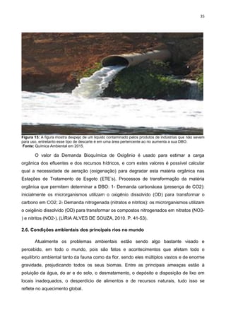 35
Figura 15: A figura mostra despejo de um liquido contaminado pelos produtos de indústrias que não sevem
para uso, entretanto esse tipo de descarte é em uma área pertencente ao rio aumenta a sua DBO.
Fonte: Química Ambiental em 2015.
O valor da Demanda Bioquímica de Oxigênio é usado para estimar a carga
orgânica dos efluentes e dos recursos hídricos, e com estes valores é possível calcular
qual a necessidade de aeração (oxigenação) para degradar esta matéria orgânica nas
Estações de Tratamento de Esgoto (ETE’s). Processos de transformação da matéria
orgânica que permitem determinar a DBO: 1- Demanda carbonácea (presença de CO2):
inicialmente os microrganismos utilizam o oxigênio dissolvido (OD) para transformar o
carbono em CO2; 2- Demanda nitrogenada (nitratos e nitritos): os microrganismos utilizam
o oxigênio dissolvido (OD) para transformar os compostos nitrogenados em nitratos (NO3-
) e nitritos (NO2-). (LÍRIA ALVES DE SOUZA, 2010. P. 41-53).
2.6. Condições ambientais dos principais rios no mundo
Atualmente os problemas ambientais estão sendo algo bastante visado e
percebido, em todo o mundo, pois são fatos e acontecimentos que afetam todo o
equilíbrio ambiental tanto da fauna como da flor, sendo eles múltiplos vastos e de enorme
gravidade, prejudicando todos os seus biomas. Entre as principais ameaças estão à
poluição da água, do ar e do solo, o desmatamento, o depósito e disposição de lixo em
locais inadequados, o desperdício de alimentos e de recursos naturais, tudo isso se
reflete no aquecimento global.
 