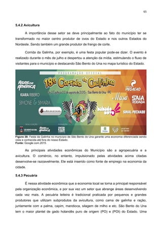 65
5.4.2 Avicultura
A importância desse setor se deve principalmente ao fato do município ter se
transformado no maior centro produtor de ovos do Estado e nos outros Estados do
Nordeste. Sendo também um grande produtor de frango de corte.
Corrida da Galinha, por exemplo, é uma festa popular pode-se dizer. O evento é
realizado durante o mês de julho e despertou a atenção da mídia, estimulando o fluxo de
visitantes para o município e destacando São Bento do Una no mapa turístico do Estado.
Figura 38: Festa da Galinha no município de São Bento do Una garante uma economia diferenciada sendo
vista e conhecida até fora do nosso Estado.
Fonte: Google.com.2015.
As principais atividades econômicas do Município são a agropecuária e a
avicultura. O comércio, no entanto, impulsionado pelas atividades acima citadas
desenvolve-se razoavelmente. Ele está inserido como fonte de emprego na economia da
cidade.
5.4.3 Pecuária
É nessa atividade econômica que a economia local se torna a principal responsável
pela organização econômica, e por sua vez um setor que abrange áreas desenvolvendo
cada vez mais. A pecuária leiteira é tradicional praticada por pequenos e grandes
produtores que utilizam subprodutos da avicultura, como cama de galinha e ração,
juntamente com a palma, capim, mandioca, silagem de milho e etc. São Bento do Una
tem o maior plantel de gado holandês puro de origem (PO) e (POI) do Estado. Uma
 