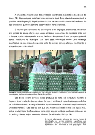 69
A cima está á mostra umas das atividades econômicas da cidade de São Bento do
Una – PE. Que cada vez mais favorece a economia local. Essa atividade econômica é a
principal fonte de geração de poluente no rio Una na zona rural e urbana de São Bento do
tipo fertilizantes químicos como foi observado nos itens anteriores.
É notável que a avicultura na cidade gera 3 mil empregos diretos mas para evitar
em tempos de pouca chuva que essas atividades econômica do município entre em
colapso é preciso não depender apenas da chuva. A esperança é uma barragem que está
sendo construída no município. Mas para essa construção houve uma mudança
significativa na área matando espécies tanto de animais com de plantas, modificando o
ambiente e seu ciclo natural.
Figura 42: Observa-se alguns trabalhadores das “Granjas Almeida” trabalhando junto com as maquinas e
manuseando equipamentos específicos. Fonte: Portal-SBU.
São Bento detém elevado índice produtivo de leite. Na Avicultura mantém a
hegemonia na produção de ovos claros de todo o Nordeste é mais de dezenove milhões
de unidades mensais, e frangos de corte, aproximadamente um milhão e quinhentos mil
unidades mensais. Tudo isso faz com que uma maior quantidade de lixo seja jogada fora,
pois a produtividade é referencia por conta disto gera os resíduos que levam poluentes ao
rio ao longo do seu trajeto nas áreas urbanas. Para Castells (1983, p. 24),
O termo urbanização refere-se ao mesmo tempo à
constituição de formas espaciais específicas das
sociedades humanas, caracterizadas pela concentração
significativa das atividades e das populações num
 