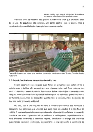 70
espaço restrito, bem como à existência e à difusão de
um sistema cultural específico, a cultura urbana.
Visto que todos os trabalhos são gerados a partir deste setor, que fortalece a cada
dia a vida da população são-bentense, um ponto positivo para a cidade, mas o
crescimento de uma cidade não deve polui seu espaço em volta.
Figura 43: Imagem que retrata uma realidade vivida pelos trabalhadores das “Granjas Almeida”. Fonte:
Portal-SBU.
5. 3. Descrições dos impactos ambientais no Rio Una
Foram observados na pesquisa duas fontes de poluentes que afetam direta e
indiretamente o rio Una, são as seguintes: uma urbana e outra rural. Essa pesquisa tem
seu foco delimitado e centralizado na área urbana. Pois é neste trajeto urbano que nossa
pesquisa focou com mais excito e praticas metodológica. Foi detectado que quanto mais o
ser humano possui, mais ele deseja ter. Quanto maior o consumo, maior a produção de
lixo, logo maior o impacto ambiental.
Ou seja, tudo é um conjunto de efeito e fantasia que envolve aos indivíduos a
possuírem, mas com isso gera um ciclo que quem mais se prejudica é o mais frágil da
história. A busca pelo capitalismo consumista acaba influenciando na falta de preservação
dos rios e nascentes o que causa sérios problemas a saúde pública, e principalmente ao
meio ambiente, destruindo a cobertura vegetal, dificultando a recarga dos aquíferos
subterrâneos, causando enchentes, assoreamento e proporcionando o surgimento de
 