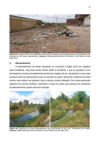 72
Figura 44: imagem retrata uma realidade da maioria das cidades que populares poluem suas próprias ruas,
lançando lixo em áreas inapropriadas. Autores: Cibelle Aparecida Silva de Oliveira e Taiz Fablícia Correia
Leite 2015.
2. Desmatamento;
O desmatamento de áreas improprias no município é ilegal como em qualquer
outra localidade, mas essa pratica desde então é constante, o que se percebe é uma
derrubada de arvores principalmente próximo às margens do rio, devastando o que antes
causava fonte de sobrevivência para os animais em geral. Buscando madeiras pra fazer
carvão, para utilizar nas padarias, para a venda e outras utilidades. Com essa exploração
espécies de animais (anfíbios, mamíferos e aves) em áreas que passam por problemas
de desmatamento podem entra em extinção.
Figura 45: Observa-se um forte desmatamento nas proximidades do Rio Una, modificando seu trajeto.
Autores: Cibelle Aparecida Silva de Oliveira e Taiz Fablícia Correia Leite 2015.
 