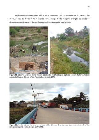 77
O desmatamento envolve vários fatos, mas uma das consequências do mesmo é a
destruição da biodiversidade, mexendo com vidas podendo chegar à extinção de espécies
de animais e até mesmo de plantas riquíssimas em poder medicinais.
Figura 52: Observa-se áreas do rio Una em São Bento, modificada pela ação do homem. Autores: Cibelle
Aparecida Silva de Oliveira e Taiz Fablícia Correia Leite 2015.
Figura 53: Ponte sobre o rio uma observa-se a Rua Liberato Siqueira vista da ponte sobre o Rio Una
(antiga barragem). Fonte: Google Earth 2015.
 